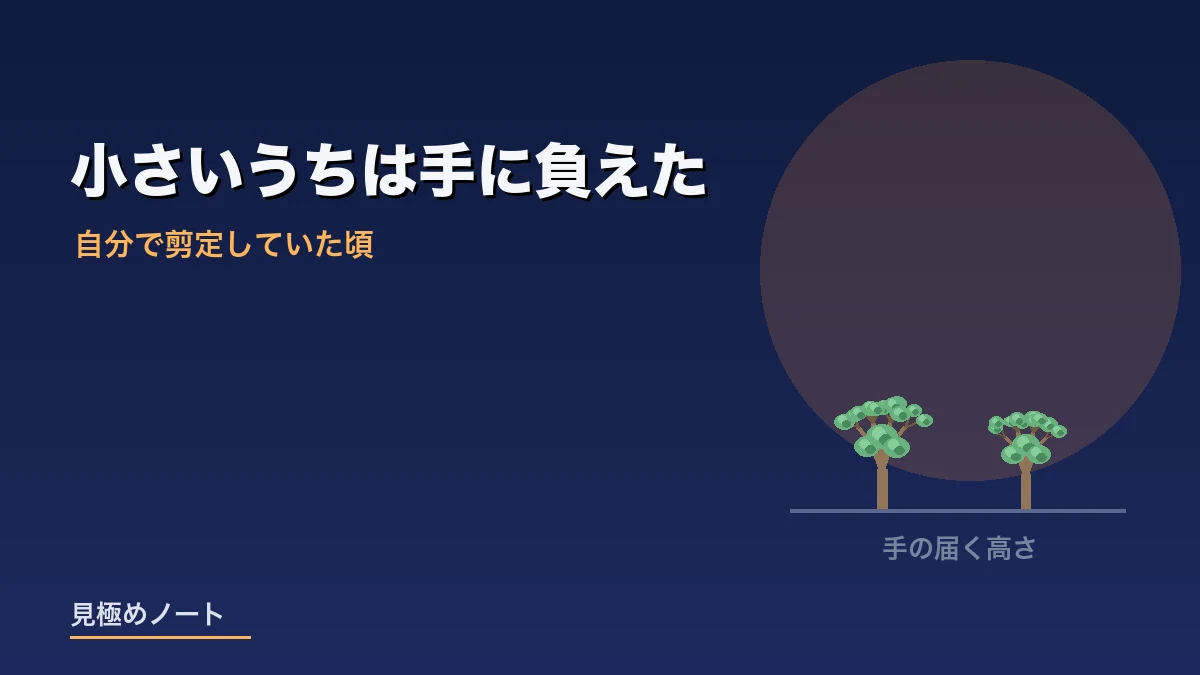植えたばかりの庭木を自分で剪定していた頃を表すイメージ画像