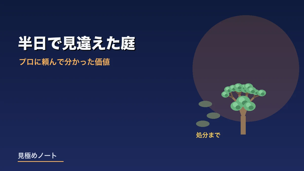 業者に依頼して半日で庭がすっきり片付いた様子を表すイメージ画像